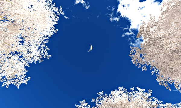 空 No12