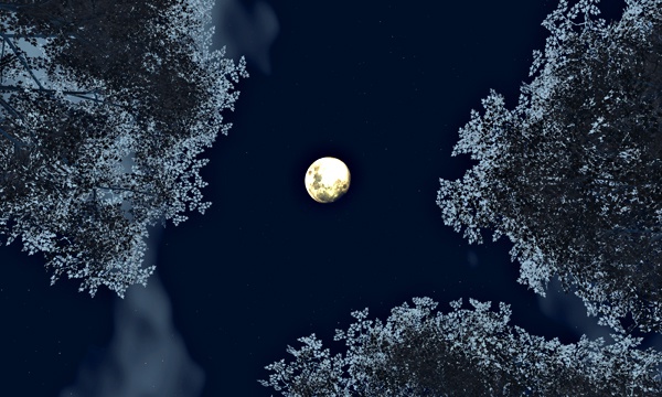 空 No13
