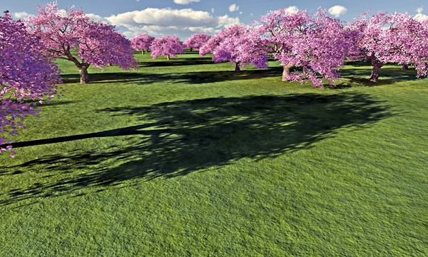 台湾加油！桜 No71
