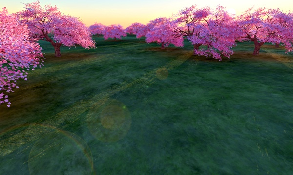 台湾加油！桜 No76