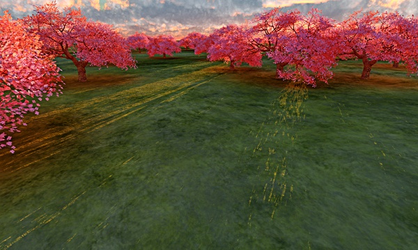 台湾加油！桜 No78
