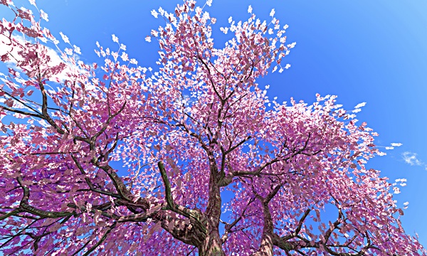 東日本大震災、2018年、祈り