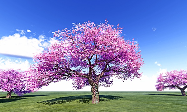 東日本大震災、2018年、祈り(２)