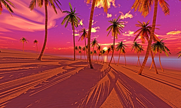 台湾加油！夏の海 No46