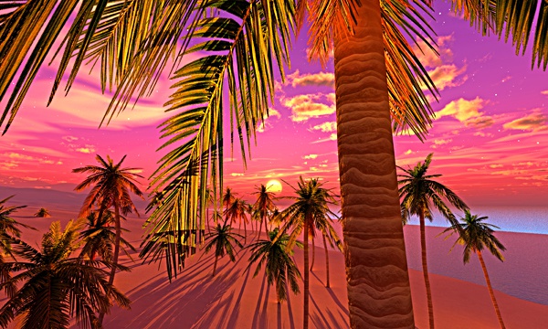 龍神風水金運アップ3DCG夏の海 No55