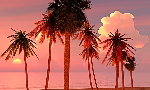 平成30年7月豪雨災害支援3DCG 夏の海 No64