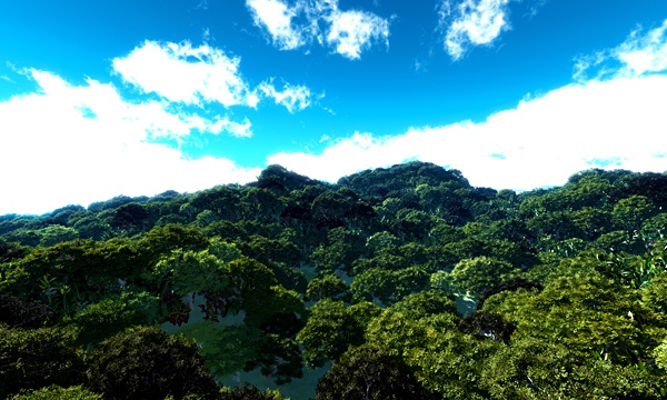 平成30年7月豪雨災害支援3DCG 森 No4