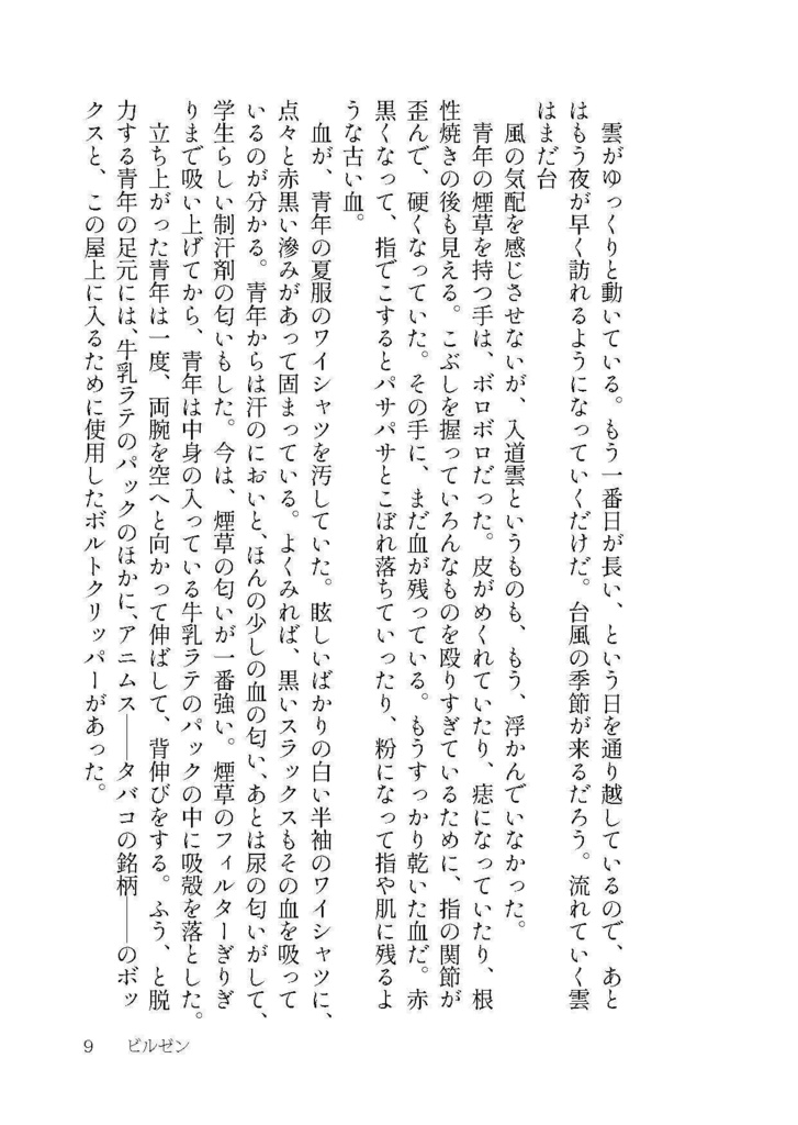 ビルゼン(新版:短編集)