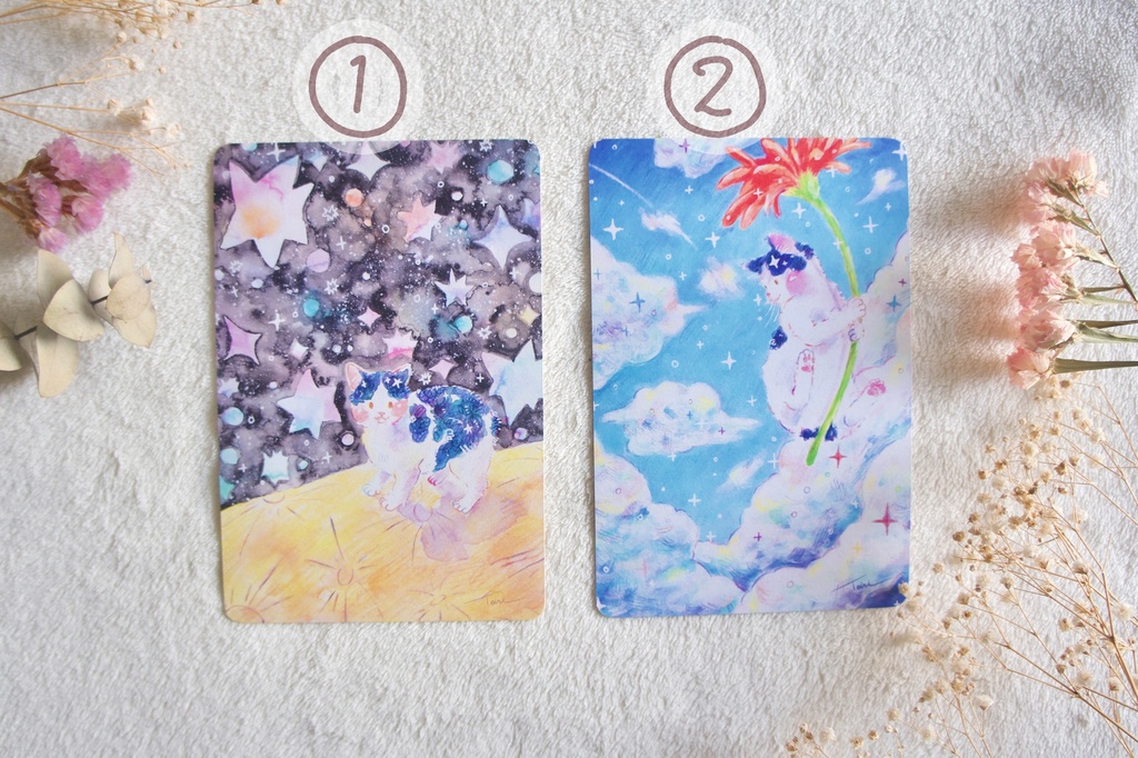 きらきらねこポストカード