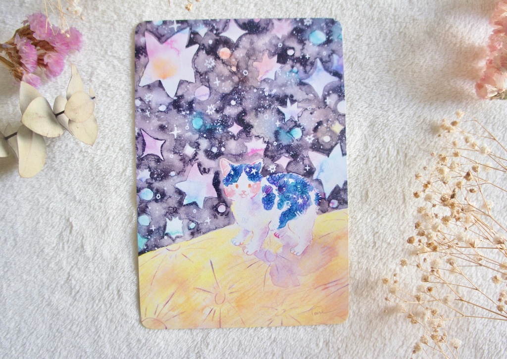 きらきらねこポストカード