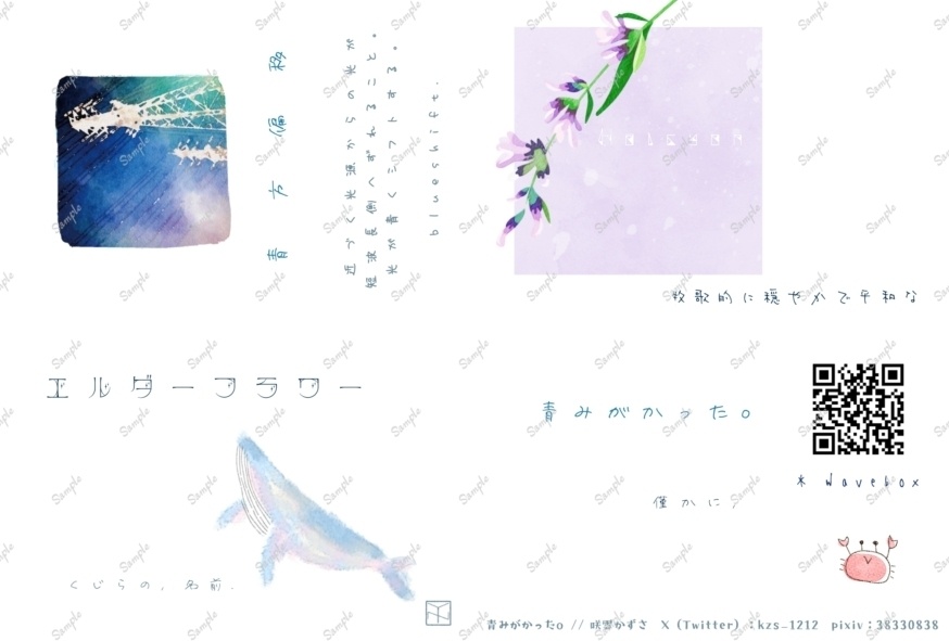 星願いポストカード