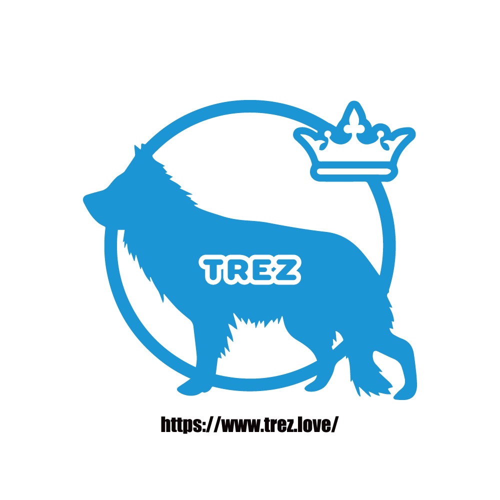 全8色 名前入り DOG ON BORD シェパード マグネット