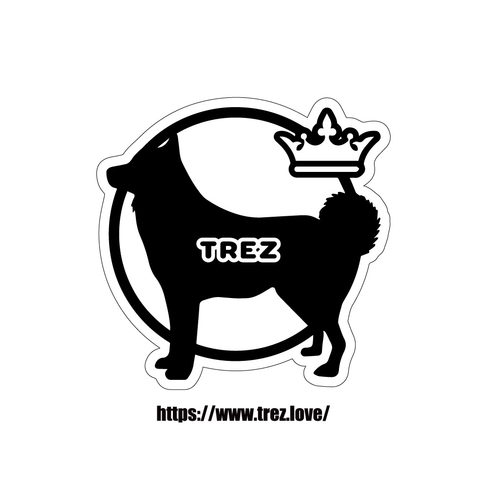 全8色 名前入りDOG ON BORD 甲斐犬 マグネット