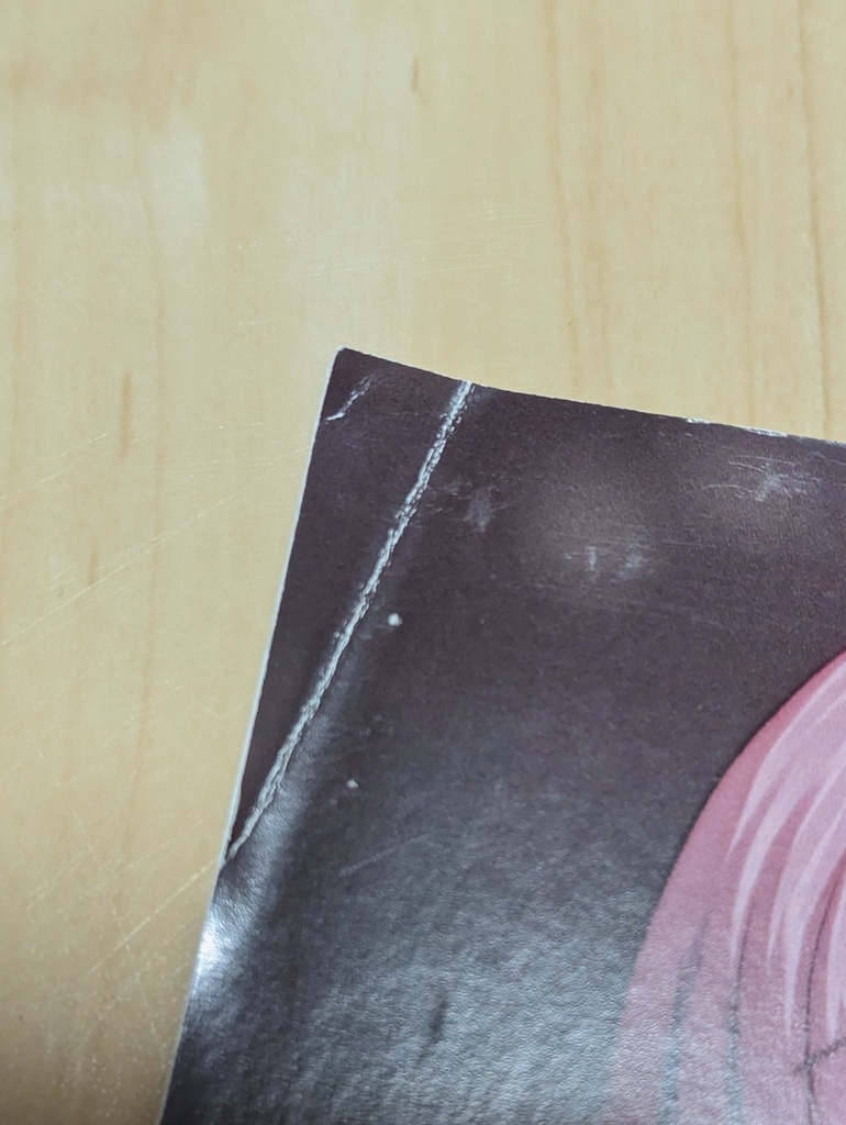 ローズマリーのくちづけ※傷あり