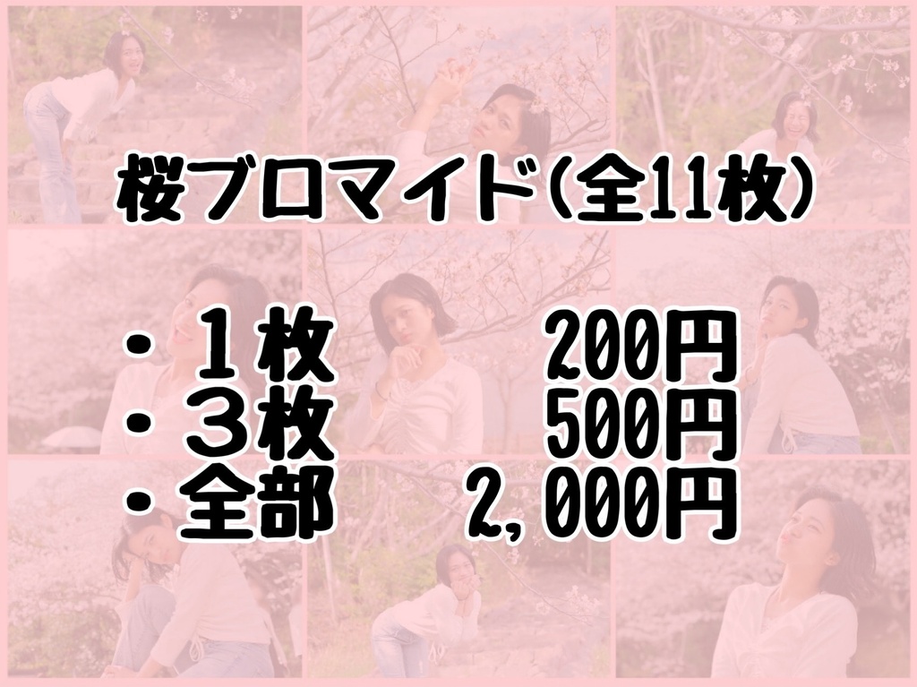 新ブロマイド(全20種)
