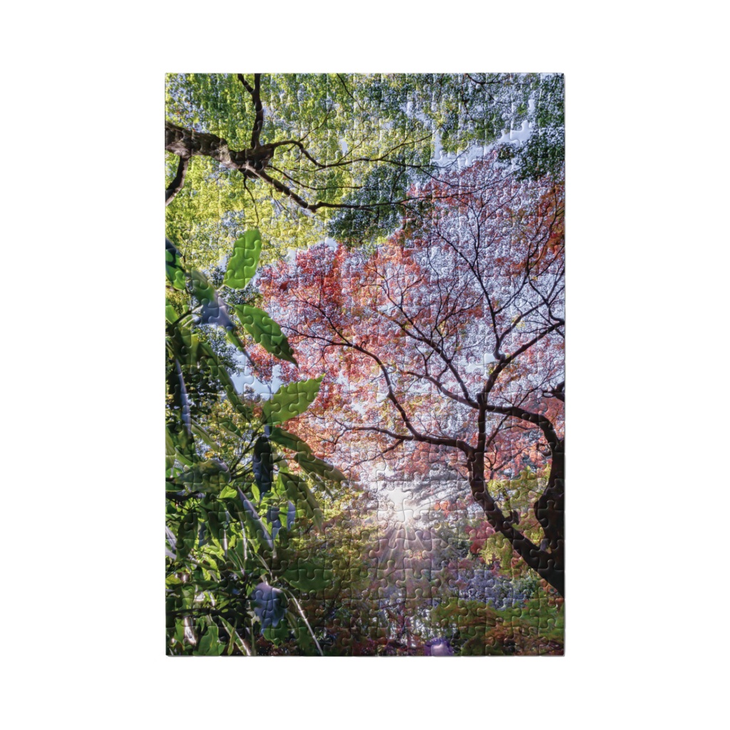 "紅葉" Autumn colors パズル
