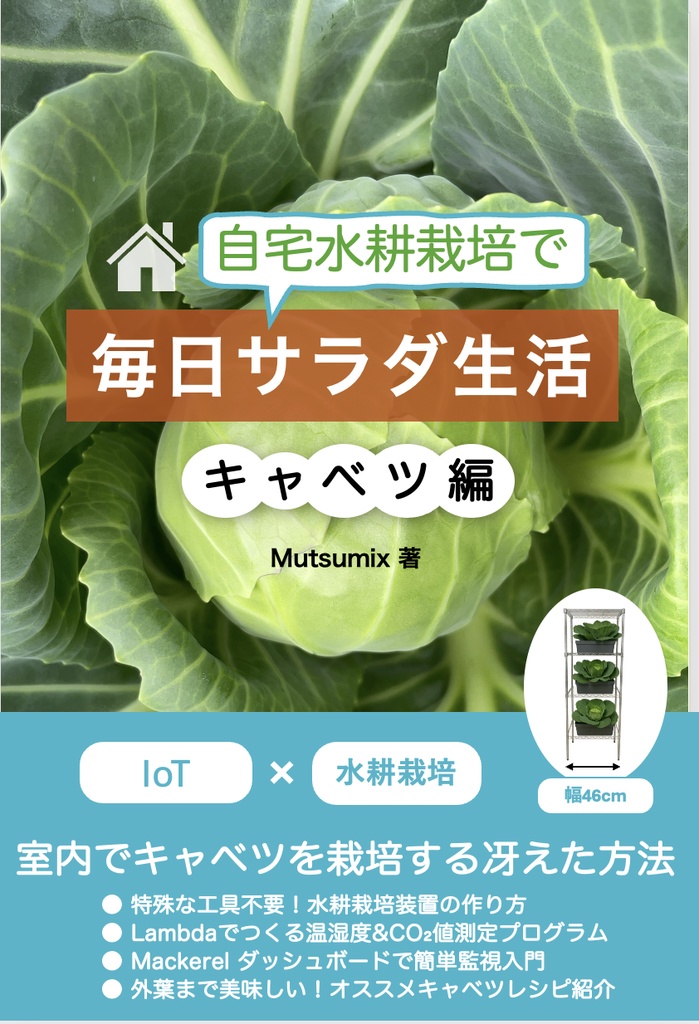 自宅水耕栽培で毎日サラダ生活 キャベツ編