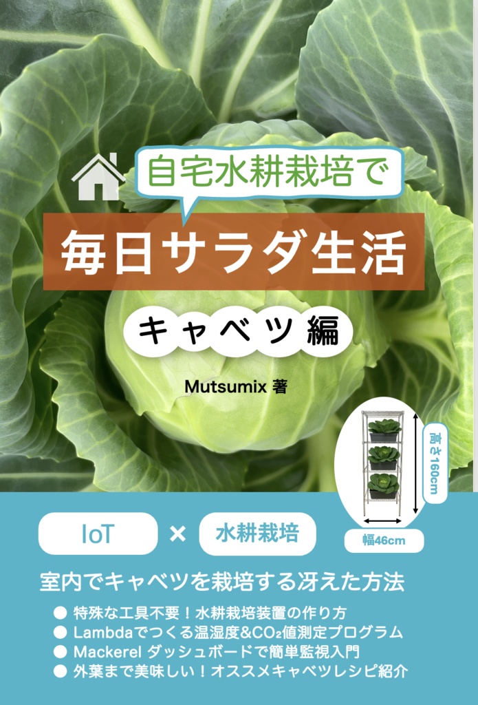 自宅水耕栽培で毎日サラダ生活 キャベツ編