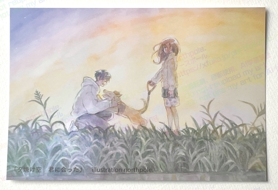 【ポストカード】夕焼け空　君に会った