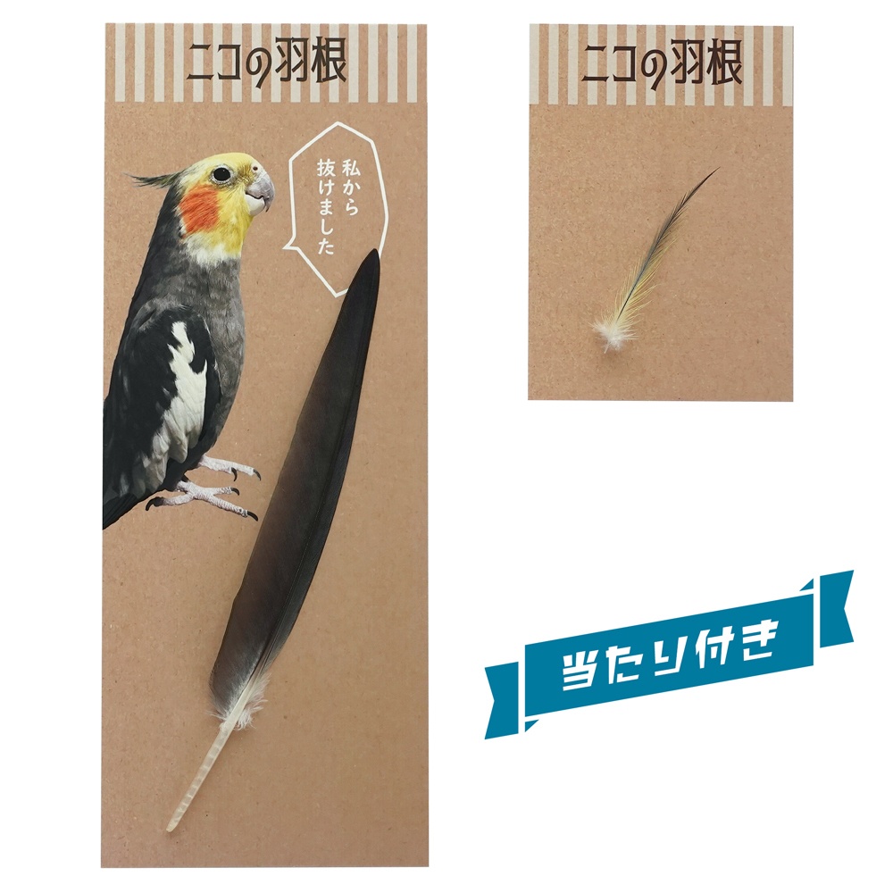 【当たり付き】ニコの羽根「風切羽or尾羽」／「冠羽」
