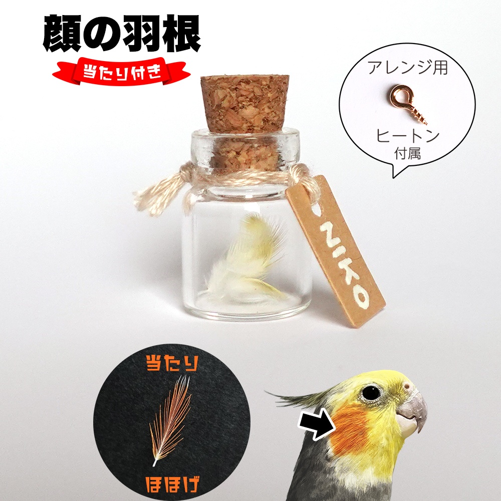 ニコの羽根-第二弾-「ホワ毛」/【当たり付き】「顔の羽」