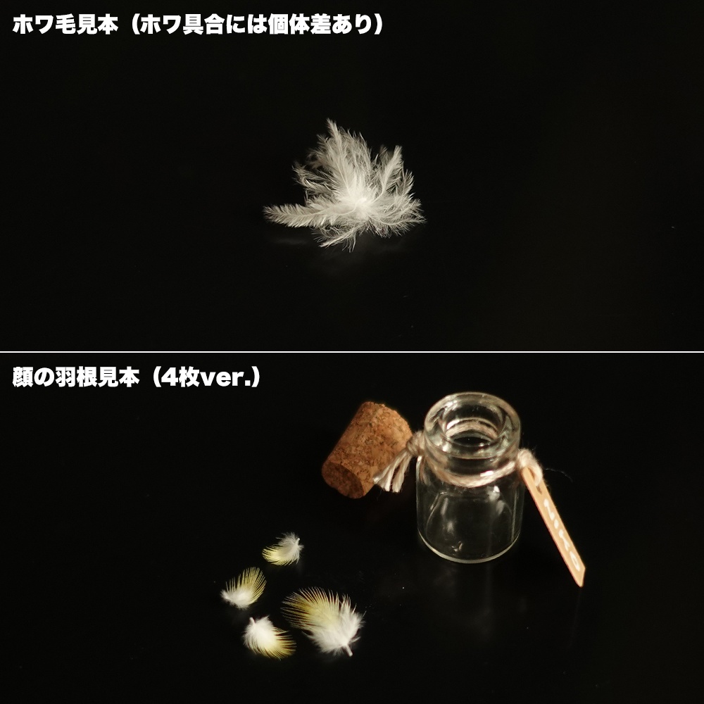 ニコの羽根-第二弾-「ホワ毛」/【当たり付き】「顔の羽」