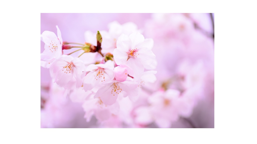 Spring Ambient Piano 02