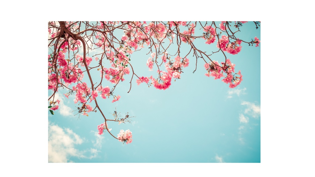 Spring Ambient Piano 03