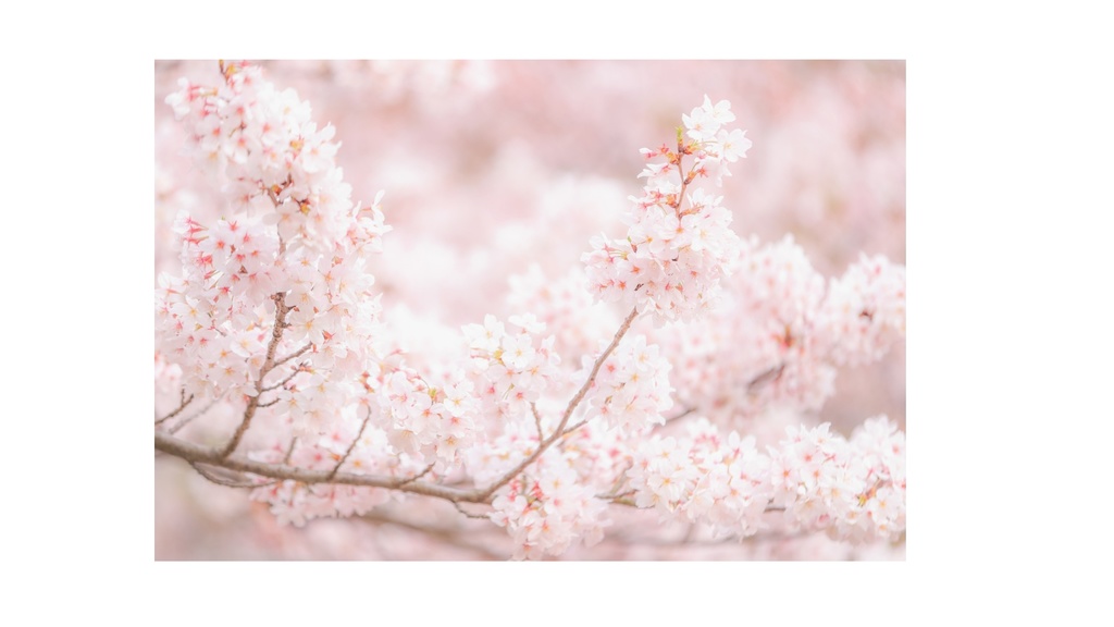 Spring Ambient Piano 04