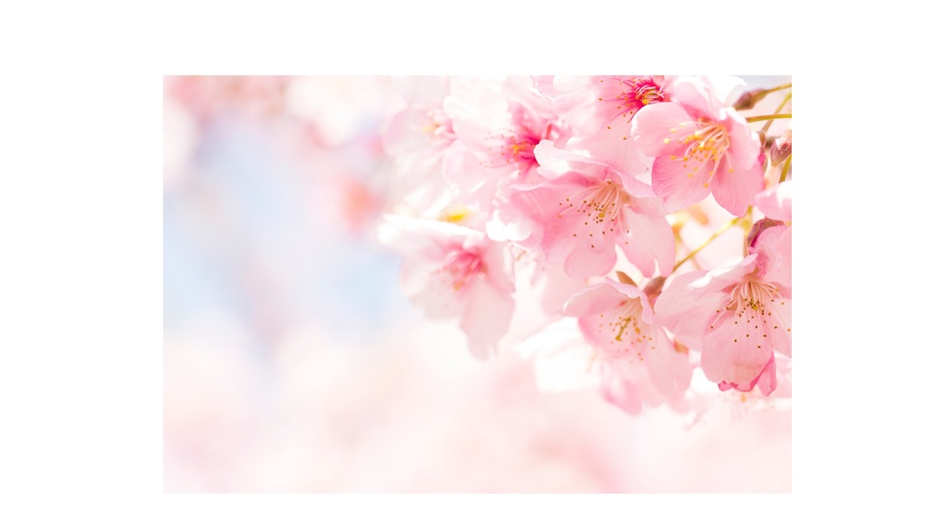 Spring Ambient Piano 05