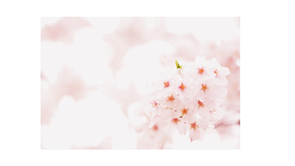 Spring Ambient Piano 06