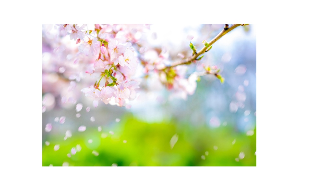 Spring Ambient Piano 07