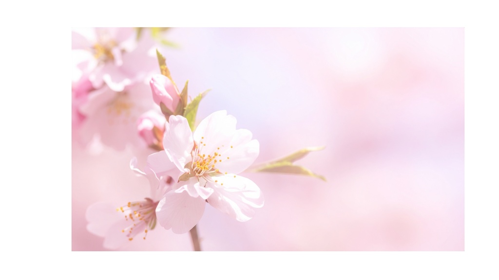 Spring Ambient Piano 09