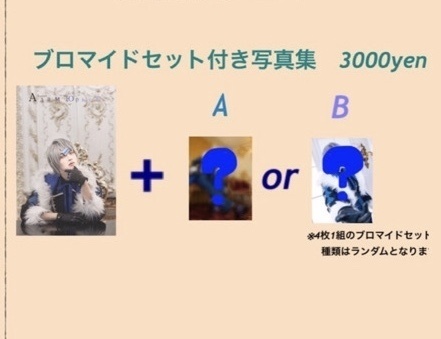 ランダムブロマイド(4種1セット)つき写真集