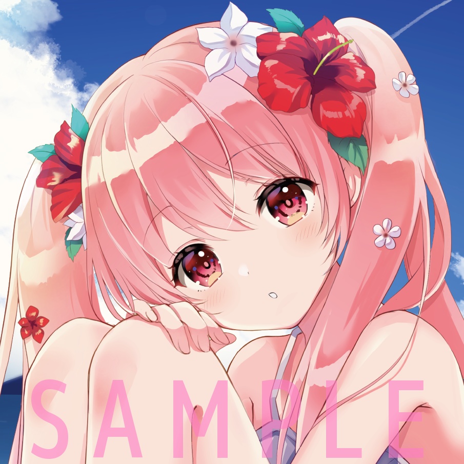 【限定】B2水着タペストリー【ころ調査隊】