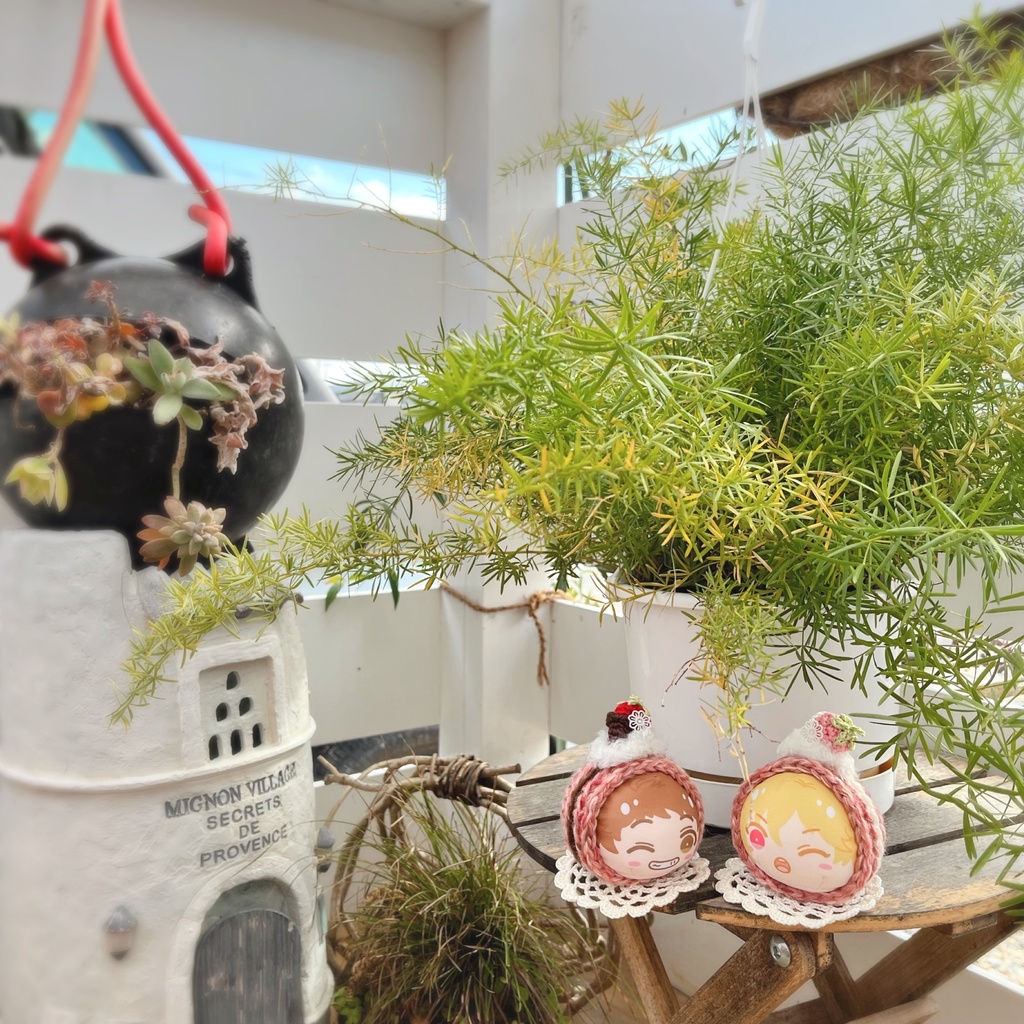 🍓🍫おまんじゅう着ぐるみ つぶつぶベリーショコラのロールケーキ 🍫🍓