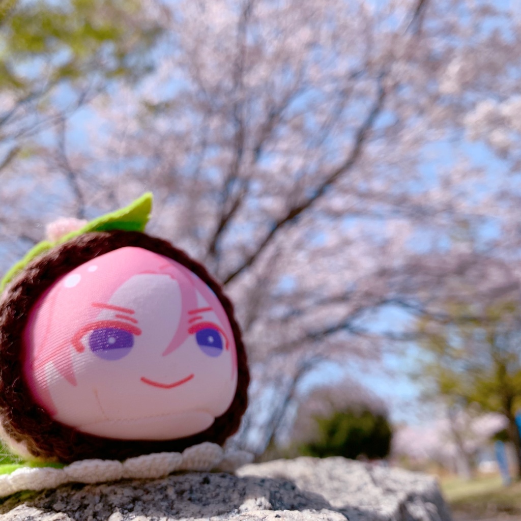 🌸 おまんじゅう着ぐるみ 桜もち 🌸
