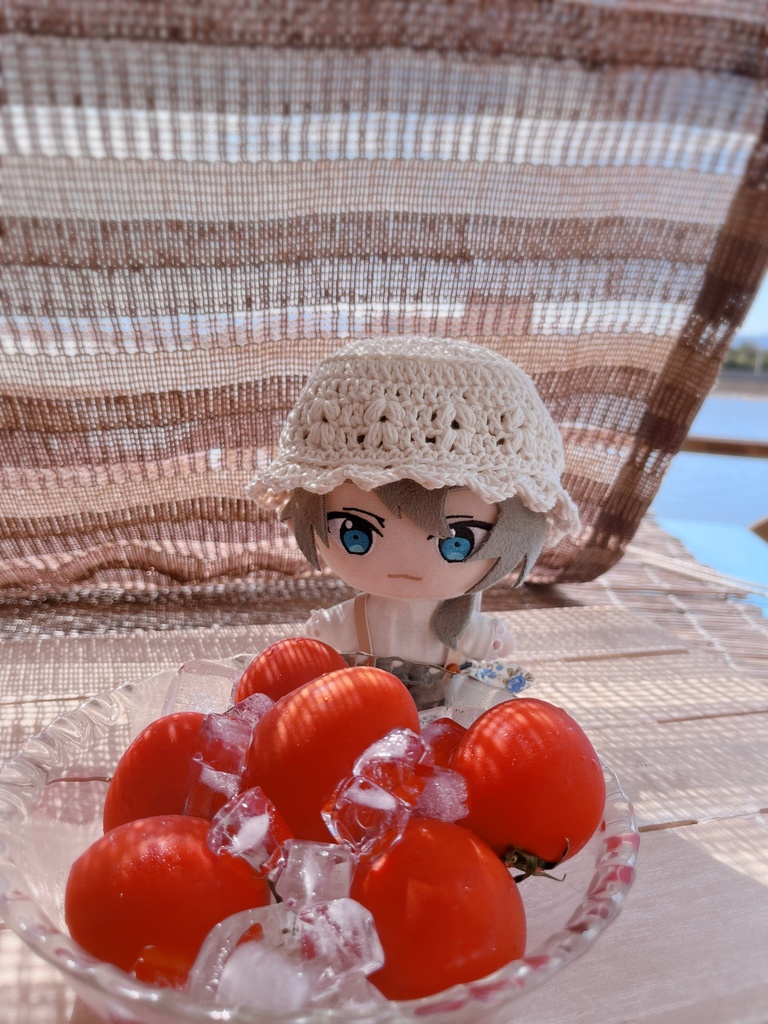 👒 オーガニックコットンのぬい用帽子 👒