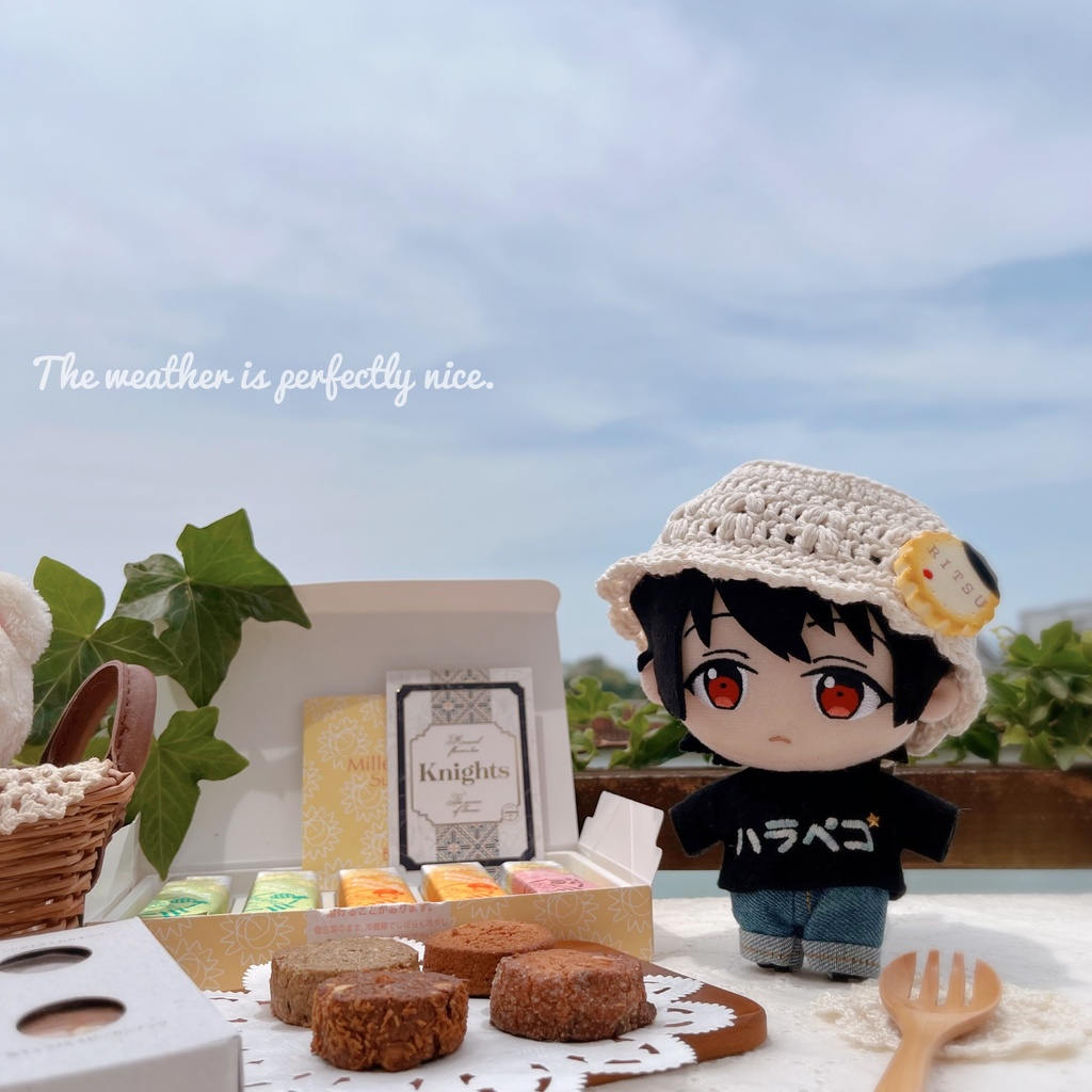 👒 オーガニックコットンのぬい用帽子 👒