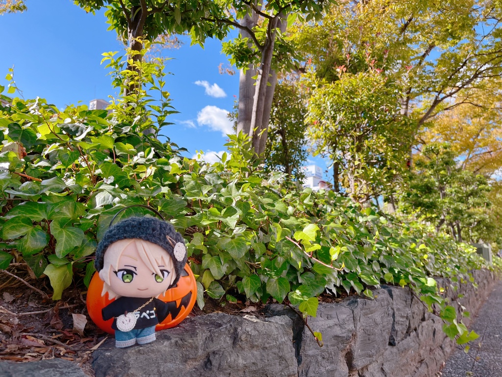 ๐๐ใใใใฎใชใใผใทใใซใใทใงใใ๐๐