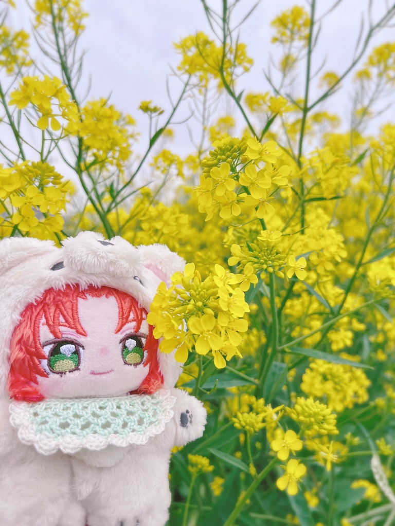 🧸🍼 🩷baby sty color ver.🩷🍼🧸