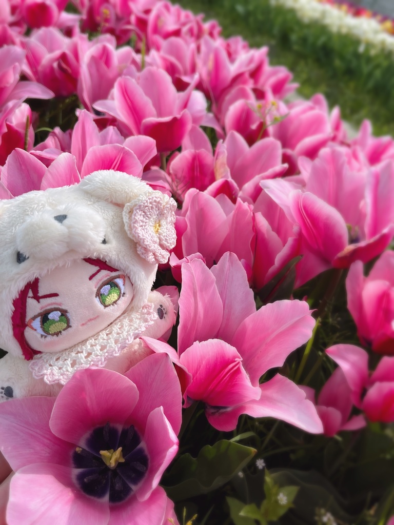 🧸🍼🩵 baby sty Off-White ver. 🩵🍼🧸