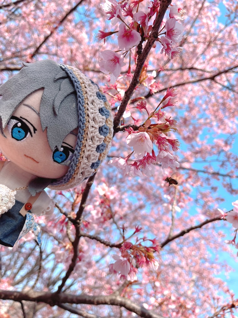 🍀 ぬいちゃん用ベレー帽 🍀