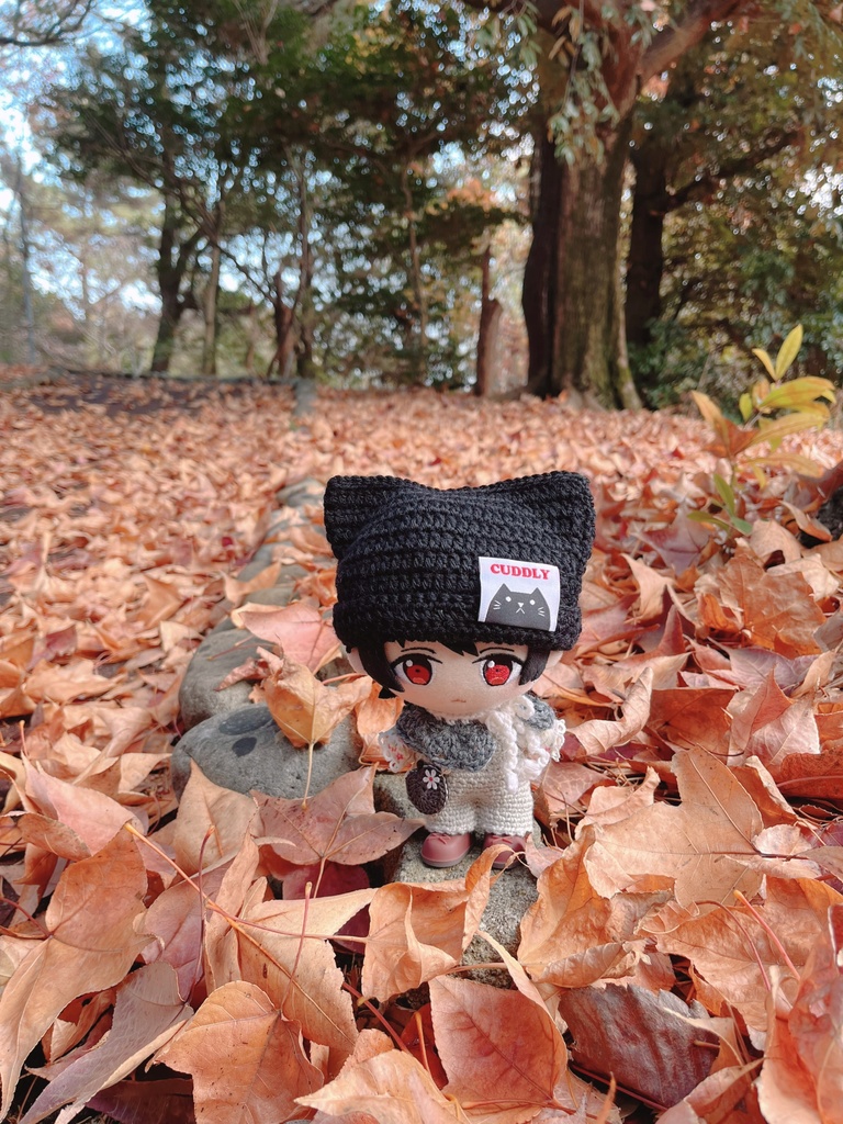 🐈⬛ぬいちゃん用ねこ耳帽子🐈⬛