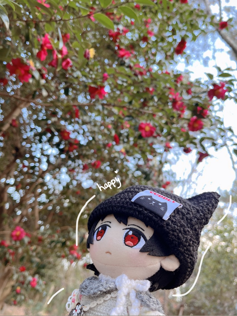 🐈⬛ぬいちゃん用ねこ耳帽子🐈⬛