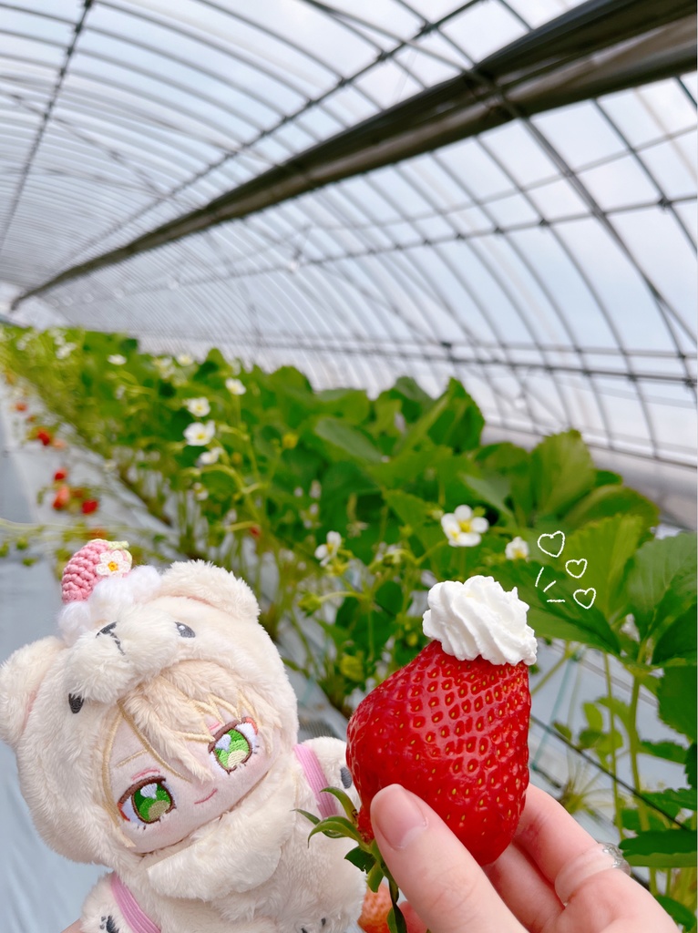 🍓摘みたていちごのブローチ🍓