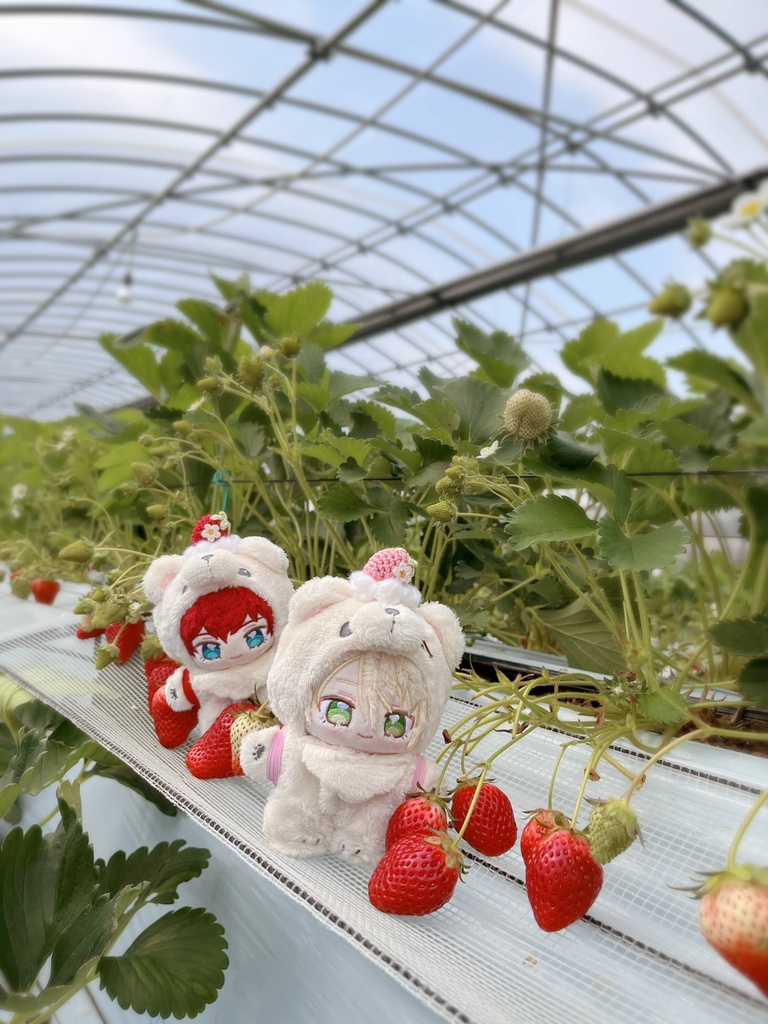 🍓摘みたていちごのブローチ🍓
