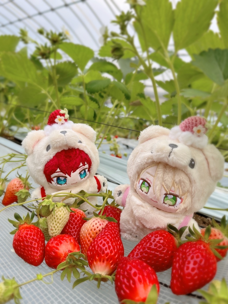 🍓摘みたていちごのブローチ🍓