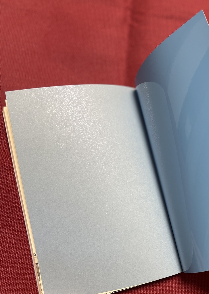 兼業少女小説家