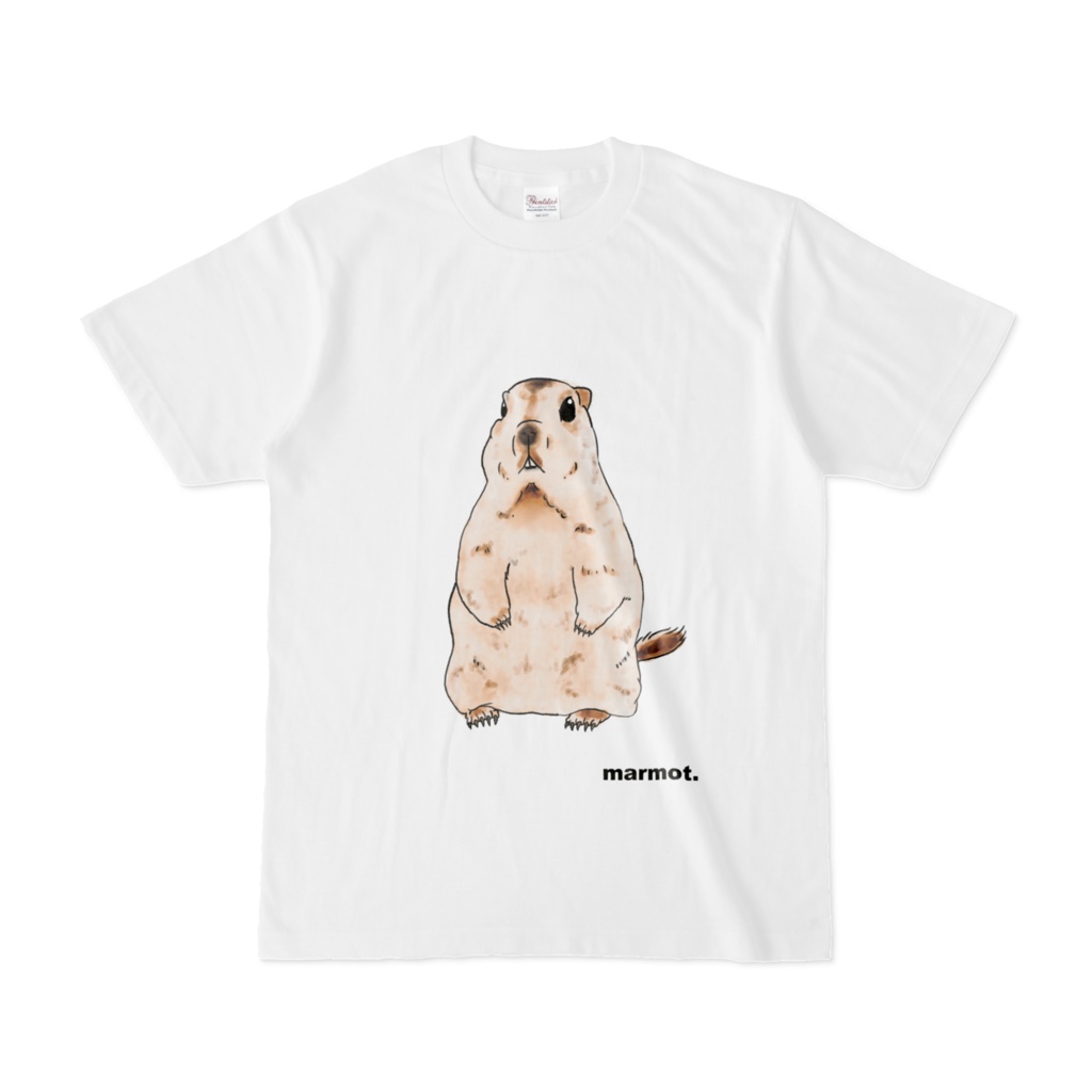 マーモTシャツ